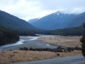Paparoa NP - Gletscher-071